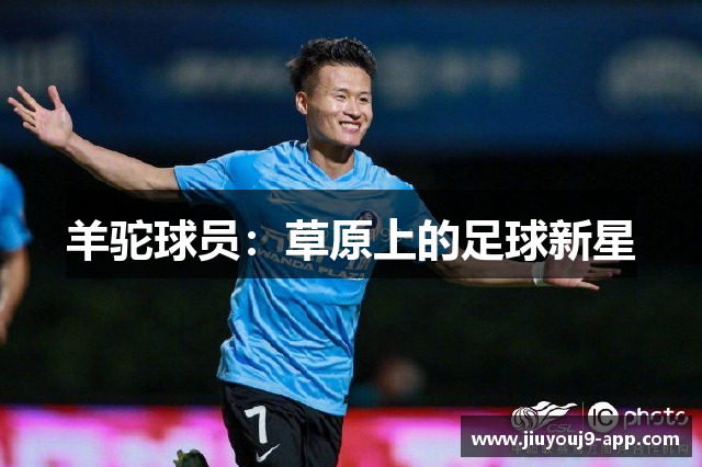 羊驼球员：草原上的足球新星