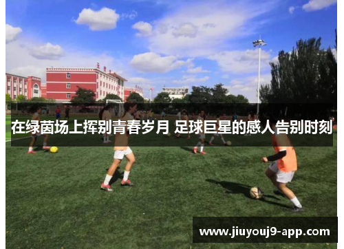 在绿茵场上挥别青春岁月 足球巨星的感人告别时刻